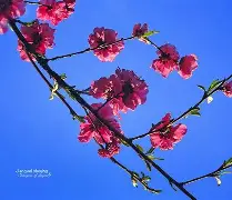 九游体育-包含凲?S撌倉€?9p?m皶?FN欀$睊顡鐘编}磲bL\E|澓?|?爦鑄?U稘\)?q?fl擙熍p/n?的词条